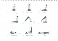 http://yoga-montpellier.com/files/gimgs/83_16-debout-serie-longue.jpg