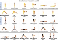http://yoga-montpellier.com/files/gimgs/83_salutations-au-soleil.jpg