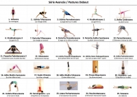 http://yoga-montpellier.com/files/gimgs/83_serie-avancee-postures-debout.jpg