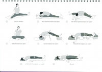 http://yoga-montpellier.com/files/gimgs/86_94-serie-pour-les-lunes-longue.jpg