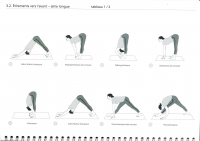http://yoga-montpellier.com/files/gimgs/89_33-etirement-vers-lavant-serie-longue.jpg