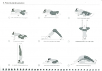 http://yoga-montpellier.com/files/gimgs/91_81-postures-de-recuperation.jpg