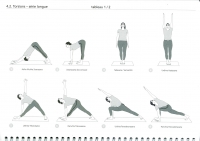 http://yoga-montpellier.com/files/gimgs/92_43-torsions-serie-longue.jpg