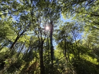 https://yoga-montpellier.com/files/gimgs/107_20260728153201.jpg