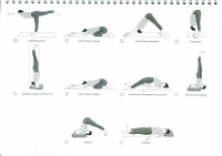 https://yoga-montpellier.com/files/gimgs/83_110-debout-serie-longue.jpg