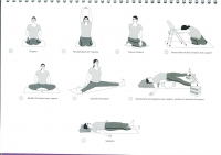 https://yoga-montpellier.com/files/gimgs/86_98-serie-pour-les-lunes--problemes-de-dos.jpg