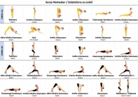 https://yoga-montpellier.com/files/gimgs/87_salutations-au-soleil.jpg