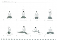 https://yoga-montpellier.com/files/gimgs/89_23-assises-serie-longue.jpg