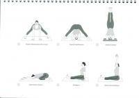 https://yoga-montpellier.com/files/gimgs/89_34-etirement-vers-lavant-serie-longue.jpg