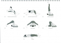 https://yoga-montpellier.com/files/gimgs/89_36-etirement-vers-lavant-serie-longue.jpg