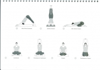 https://yoga-montpellier.com/files/gimgs/92_44-torsions-serie-longue.jpg