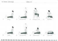 https://yoga-montpellier.com/files/gimgs/92_45-torsions-serie-longue.jpg